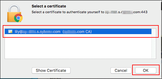 Image of selecting a certificate required for the connection