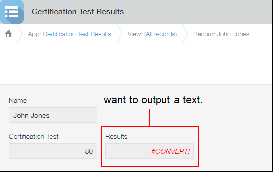 Screenshot: The #CONVERT! error