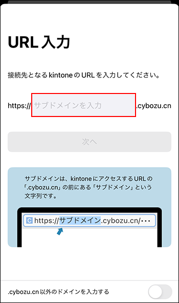 スクリーンショット：サブドメインを入力する欄が枠線で強調されている